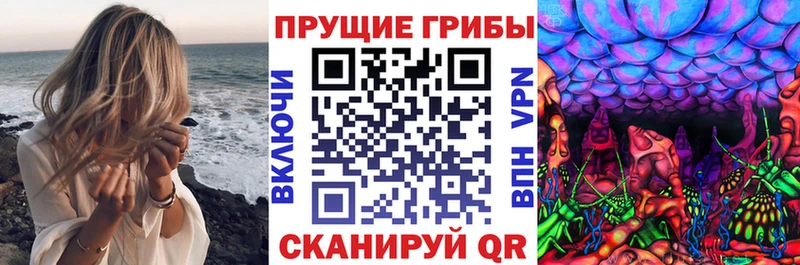 Купить  Ангарск  Галлюциногенные грибы Psilocybine cubensis 